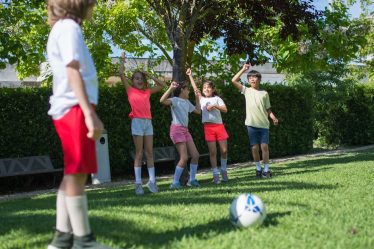 découvrez des activités conviviales pour les chiens avec notre guide des activités dog-friendly. profitez de moments de complicité avec votre chien lors de balades, soirées spéciales et bien plus encore.