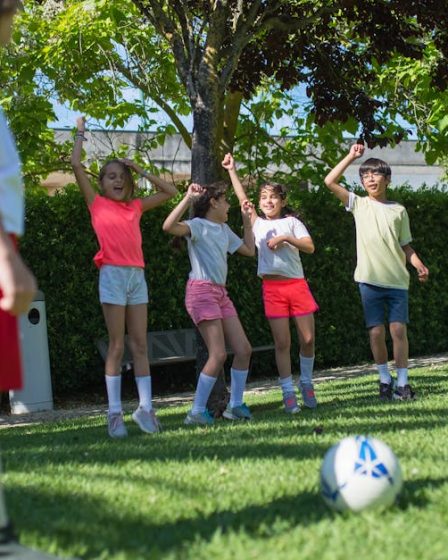 découvrez des activités conviviales pour les chiens avec notre guide des activités dog-friendly. profitez de moments de complicité avec votre chien lors de balades, soirées spéciales et bien plus encore.