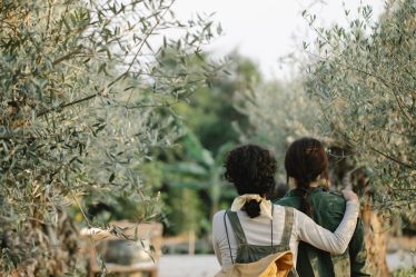 découvrez l'histoire et la beauté de l'orangerie, un lieu emblématique de l'architecture française, à travers son architecture, ses jardins et son héritage historique.