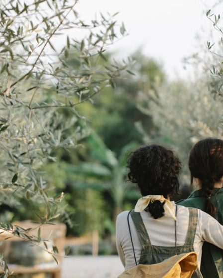 découvrez l'histoire et la beauté de l'orangerie, un lieu emblématique de l'architecture française, à travers son architecture, ses jardins et son héritage historique.