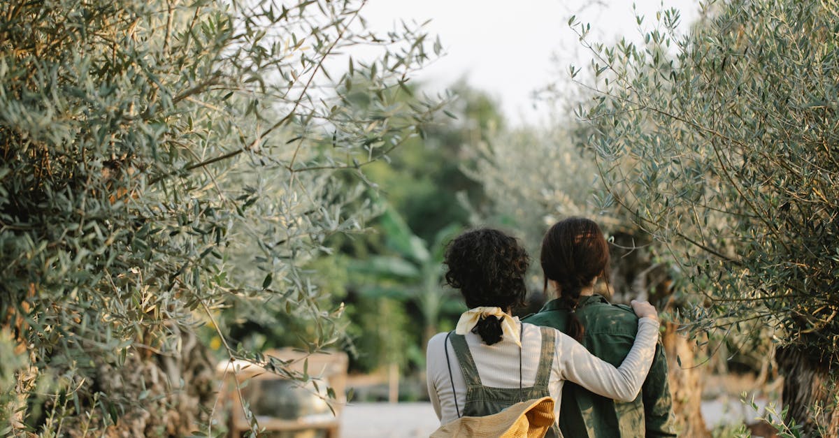 découvrez l'histoire et la beauté de l'orangerie, un lieu emblématique de l'architecture française, à travers son architecture, ses jardins et son héritage historique.