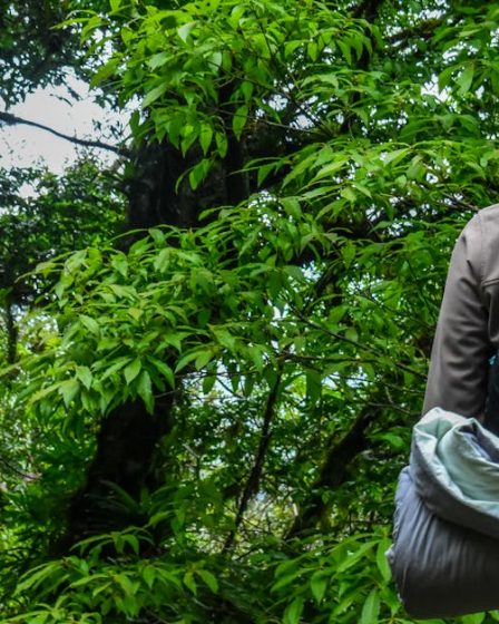 découvrez nos offres de location de camping pour des vacances inoubliables en pleine nature.