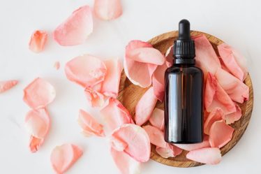 découvrez tout ce qu'il faut savoir sur la production d'huile dans notre guide complet. informations, chiffres clés, processus et bien plus!