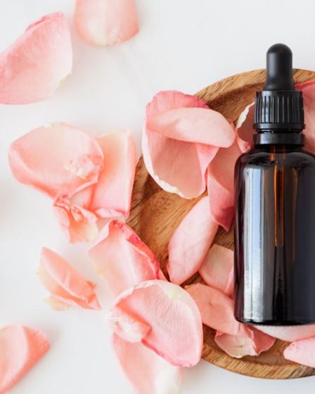 découvrez tout ce qu'il faut savoir sur la production d'huile dans notre guide complet. informations, chiffres clés, processus et bien plus!