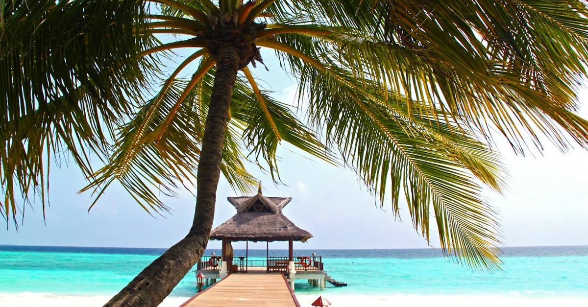 découvrez les destinations de rêve et les expériences uniques du tourisme à travers le monde.
