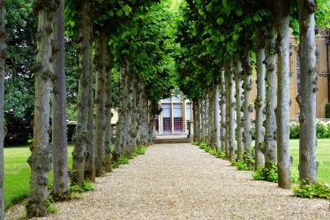 guide des locations immobilières pour trouver votre prochaine propriété à louer