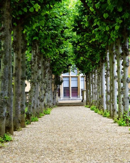 guide des locations immobilières pour trouver votre prochaine propriété à louer