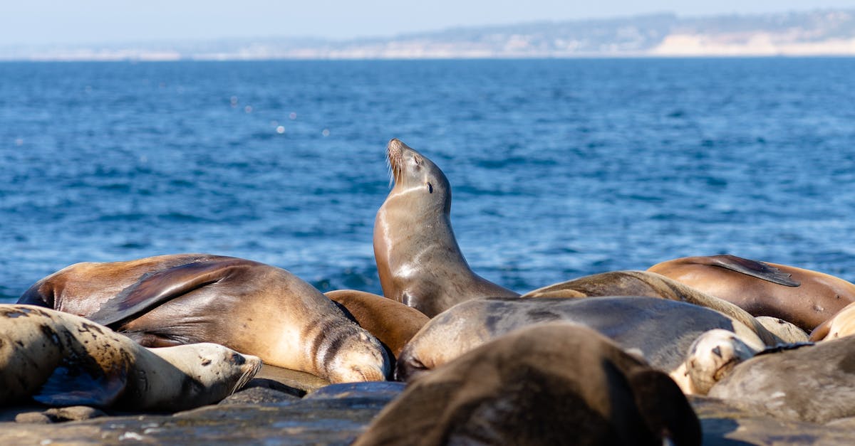 découvrez cali, la ville dynamique de la colombie, ses quartiers historiques, sa culture musicale et sa gastronomie savoureuse.