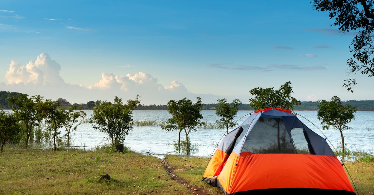 découvrez nos emplacements de camping au cœur de la nature pour des vacances inoubliables en famille ou entre amis.
