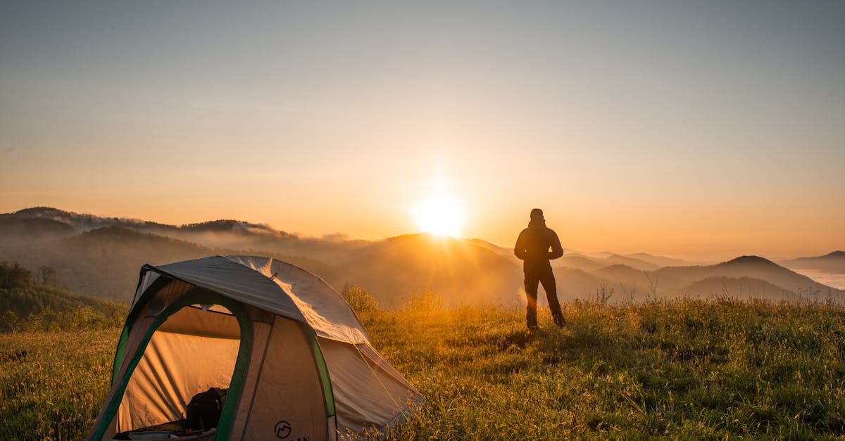 découvrez notre camping au cœur de la nature pour des vacances en plein air mémorables. emplacements spacieux, activités de plein air et détente garantie !