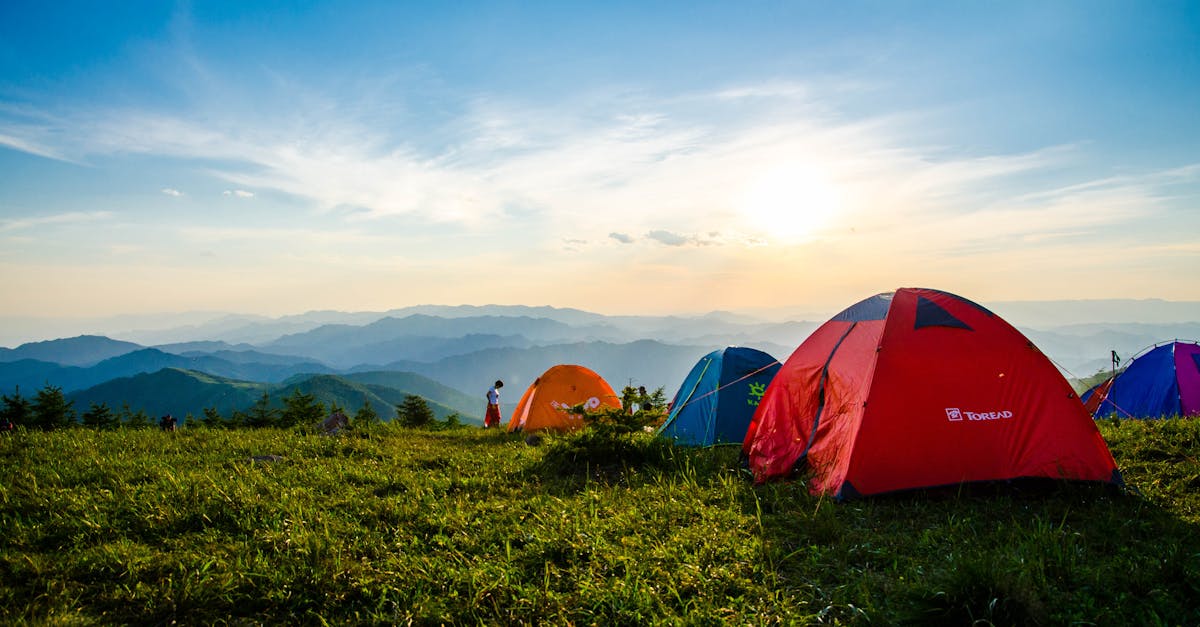 découvrez notre camping pour des vacances inoubliables en pleine nature. profitez de nos emplacements et de nos services pour un séjour au plus près de la nature.