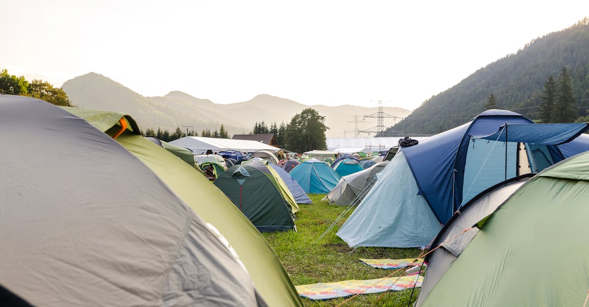 découvrez une variété d'activités de camping pour toute la famille avec des jeux, des randonnées et des soirées au coin du feu.
