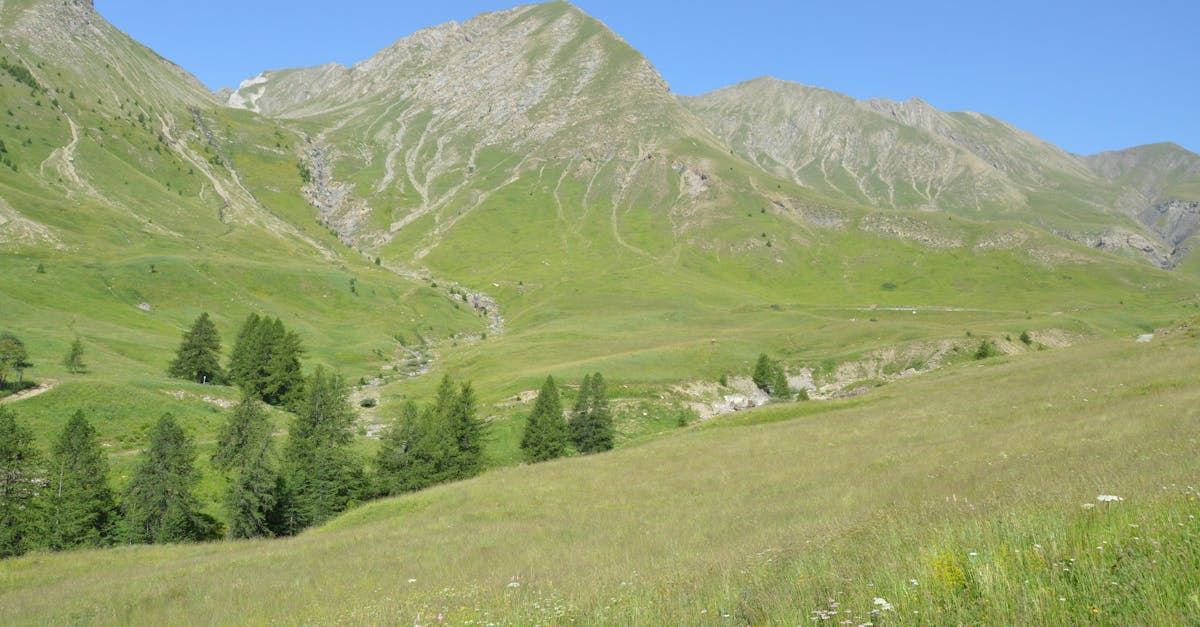 découvrez la beauté naturelle de la haute-savoie, entre lacs cristallins et sommets majestueux. profitez d'une région riche en traditions et en activités de montagne.
