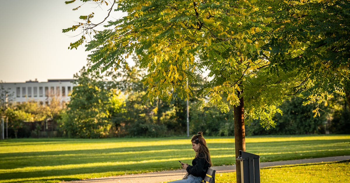 découvrez des liens utiles pour trouver des informations précieuses.